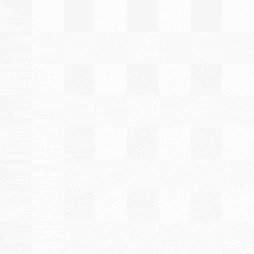 In and Out of Orlando